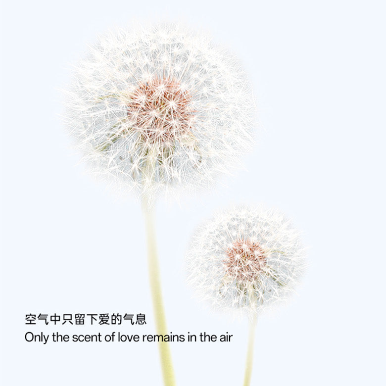 Elephant Condom Nothing 003 Ultra Thin 超轻薄 (10's)